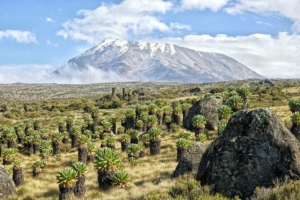 نمای قله کلیمانجارو