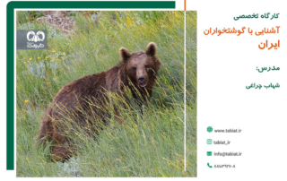 گوشتخواران ایران