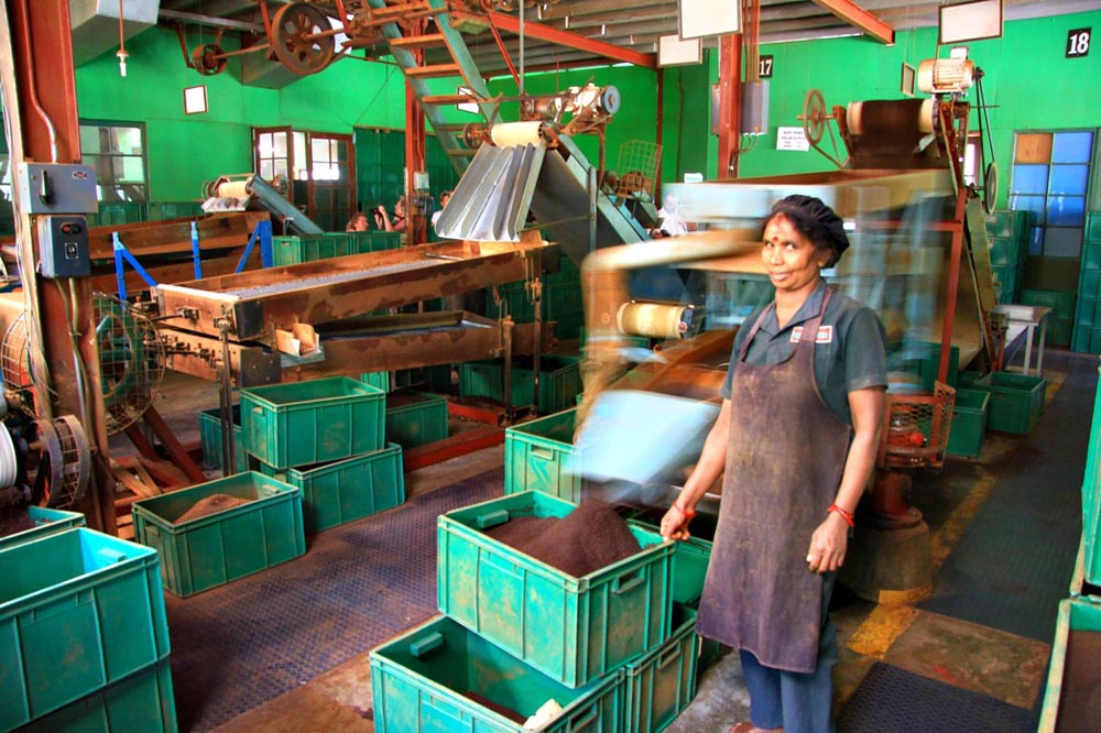 کارخانه چای سریلانکا