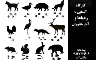 ردپاها و آثار جانوران