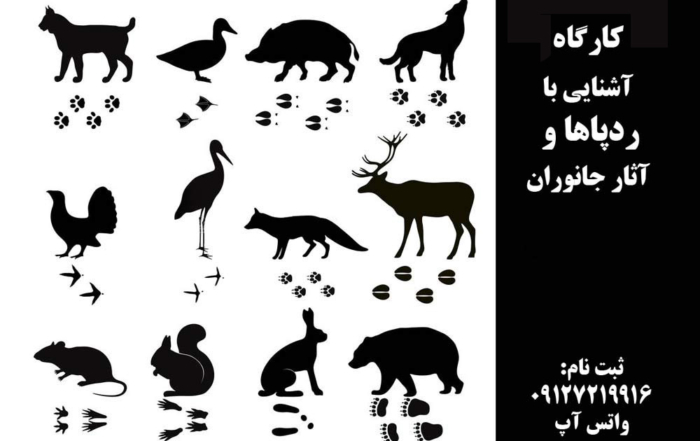 ردپاها و آثار جانوران