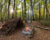 بقا در جنگل