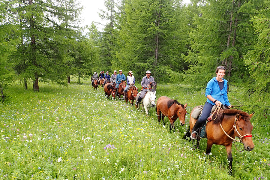تور مغولستان